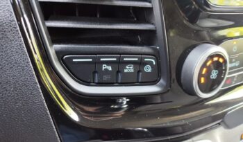 Ford Tourneo Custom 2.0 EcoBlue L2 Titanium Dla Niepełnosprawnych Rampa full