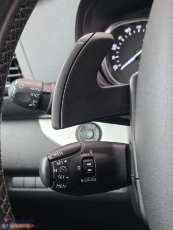 Opel Zafira 2.0 CDTI Extra Long Business VIP Dla Niepełnosprawnych PFRON full